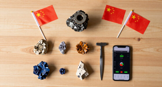 Chinese rare-earth miners bullish ahead of Trump-Xi summit
