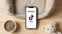 OnlyCats – TikTok for Cats