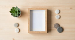 15 Best Shadow Boxes for Decor in 2026