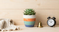 3 Best Whimsical Home Decorations in 2026