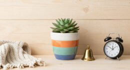 3 Best Whimsical Home Decorations in 2026