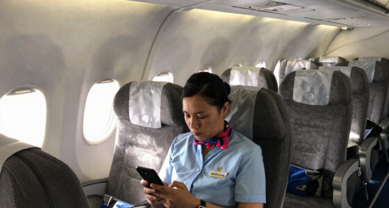 You're the crew of the world's worst airline in Dear Passengers and it looks hilarious
